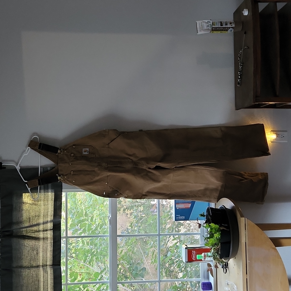Men's Carhartt Overalls